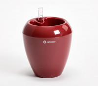 Flower pot Calimera A1 wine red