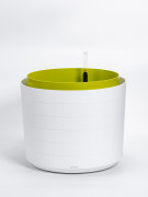 Self-watering large-volume flower pot Berberis 55 - white+green