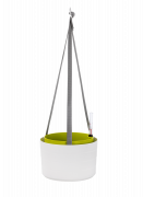  Hanging bowl Berberis white green