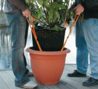 Plant Lift, red, pot height: 35 - 80 cm
