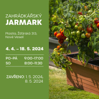 pla-jarmark-2024-fcb_banner-800x800.jpg